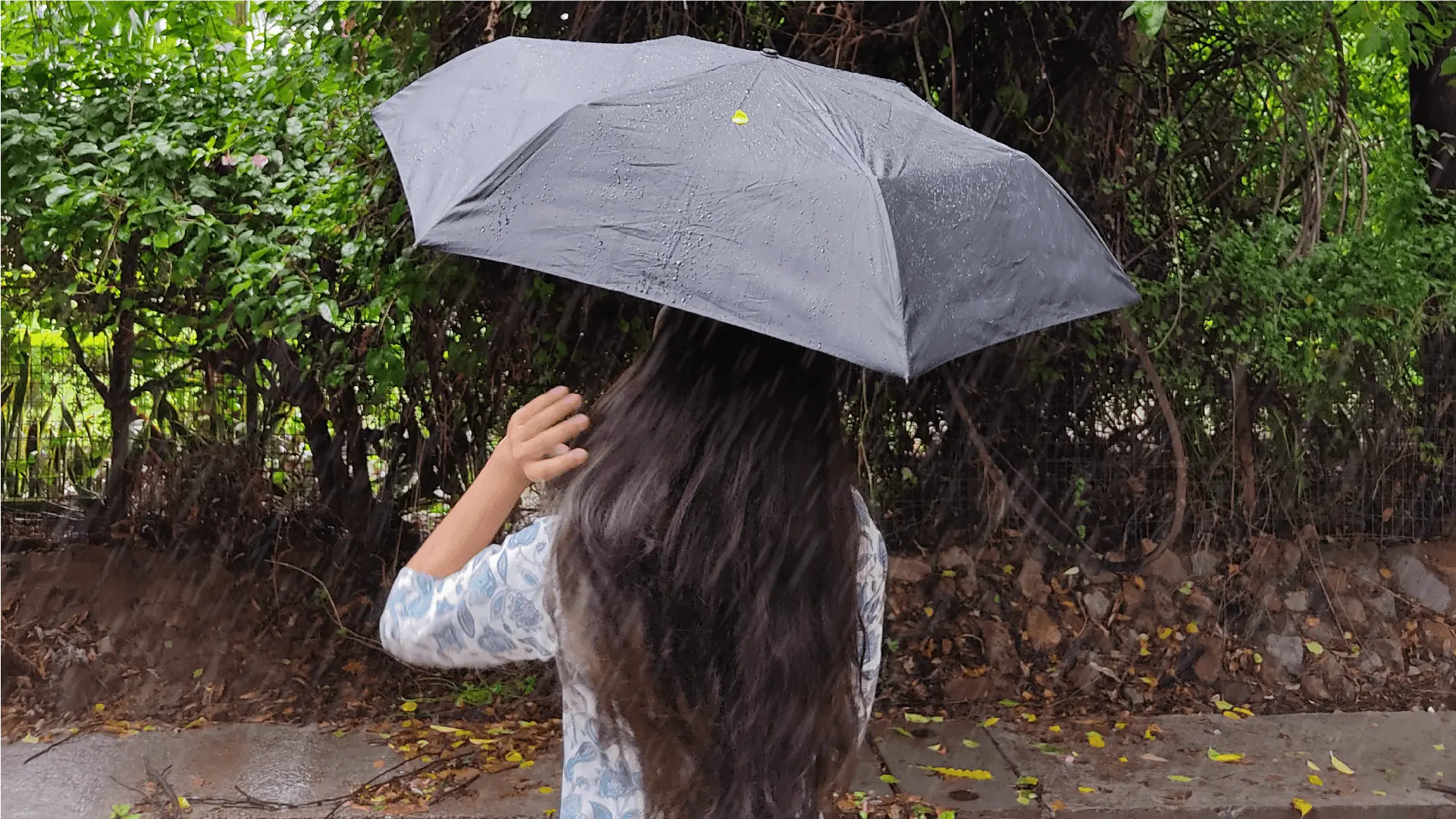 monsoon-vs-hair-why-frizz-takes-over-and-what-science-says-you-can-do-about-it