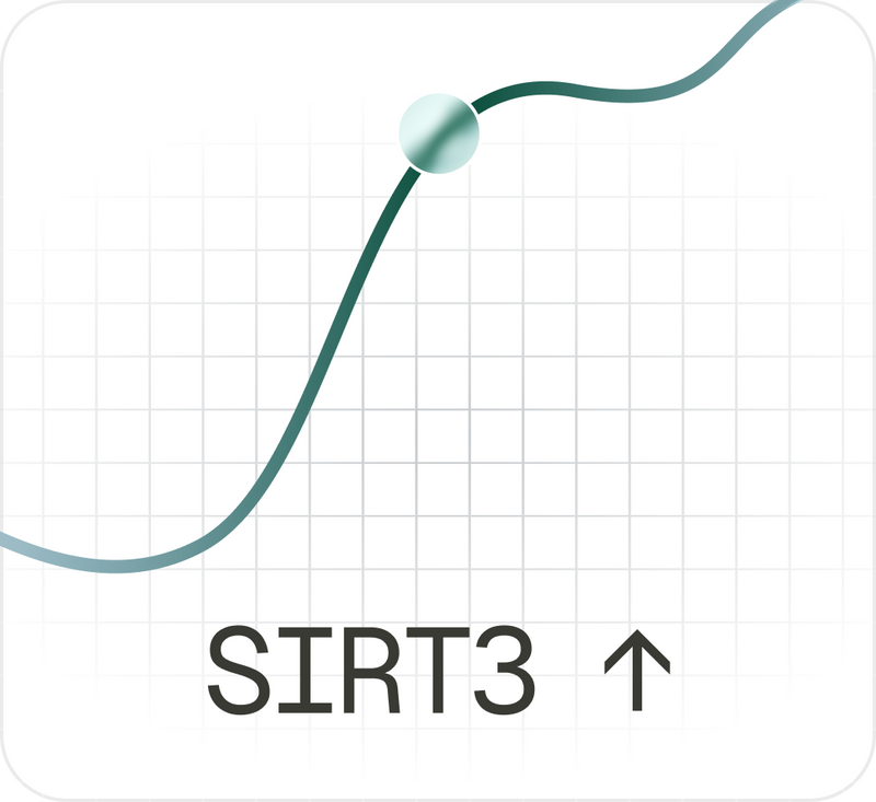 SIRT3