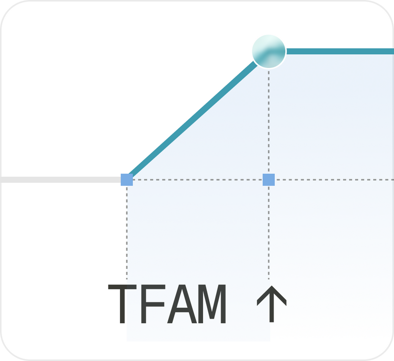 TFAM