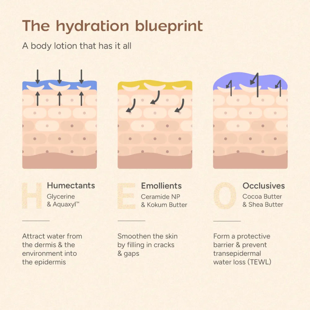 ceramide-body-lotion Secondary