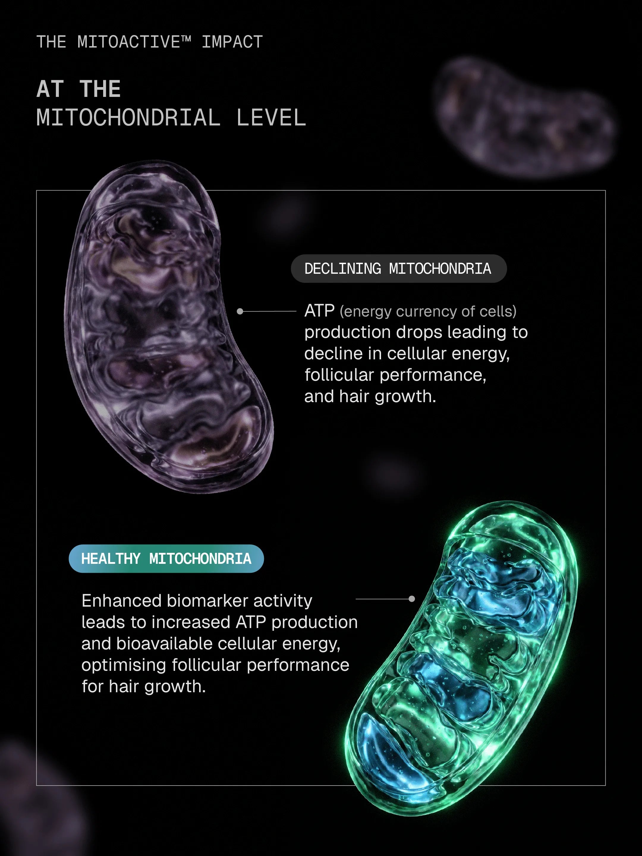 Arata MitoActive™ Mitochondrial Hair Growth Serum 30 ml