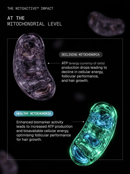 MitoActive™ Mitochondrial Hair Growth Serum -  30 ml