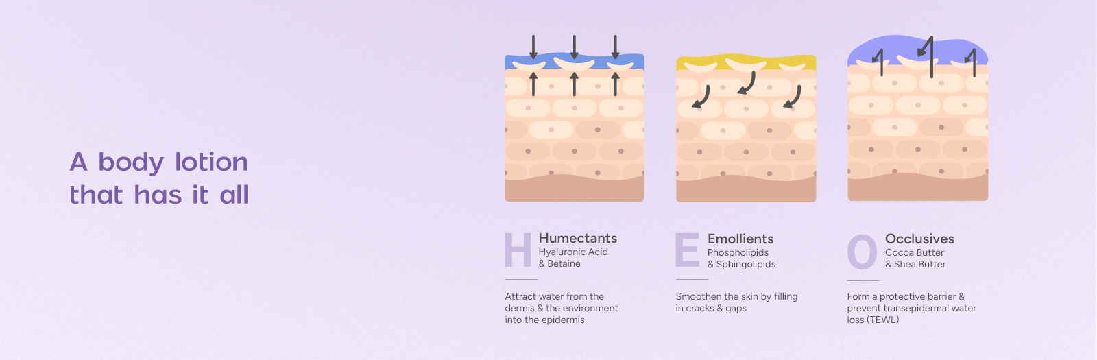 Niacinamide Body Milk A+