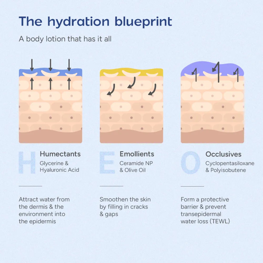 6.5% AHA BHA Body Lotion for Rough and Textured Skin | Provides Gentle ...