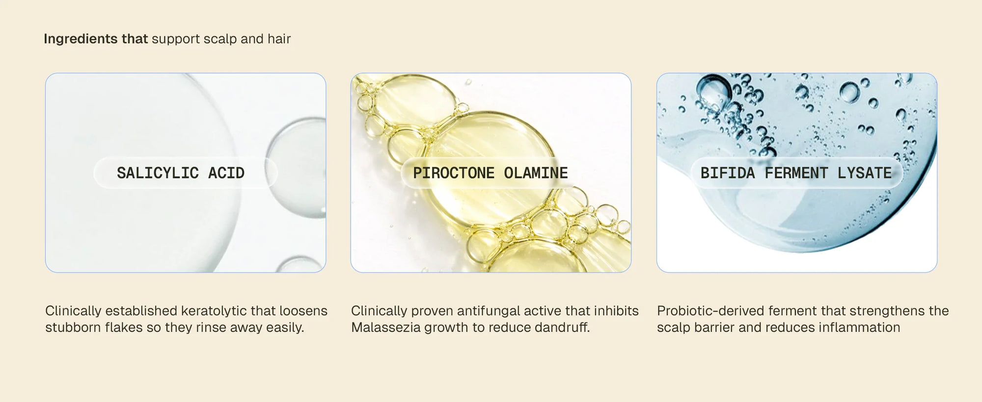 Anti_Dandruff_Conditioner_Website_Desktop_A_Card_4_fde664cf-5608-4d10-8067-024e26e1a3cc