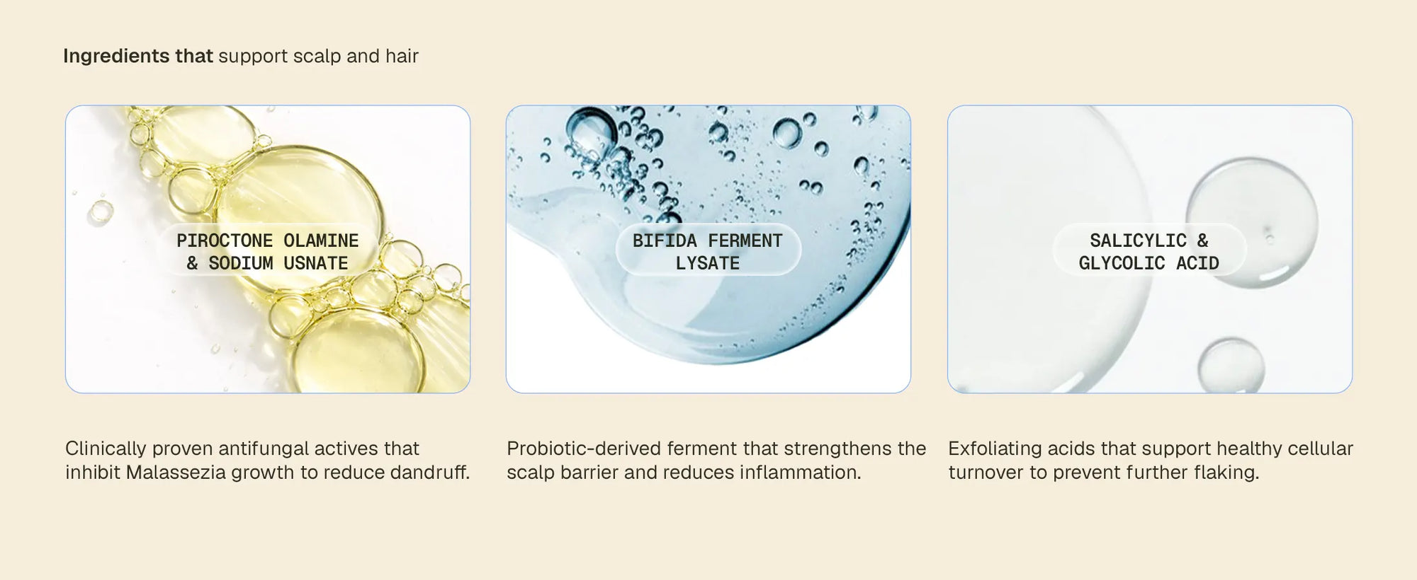 Anti_Dandruff_Serum_Amazon_Desktop_A__Card_4_644ad2fe-f491-480b-9bf5-f3842d590f4d