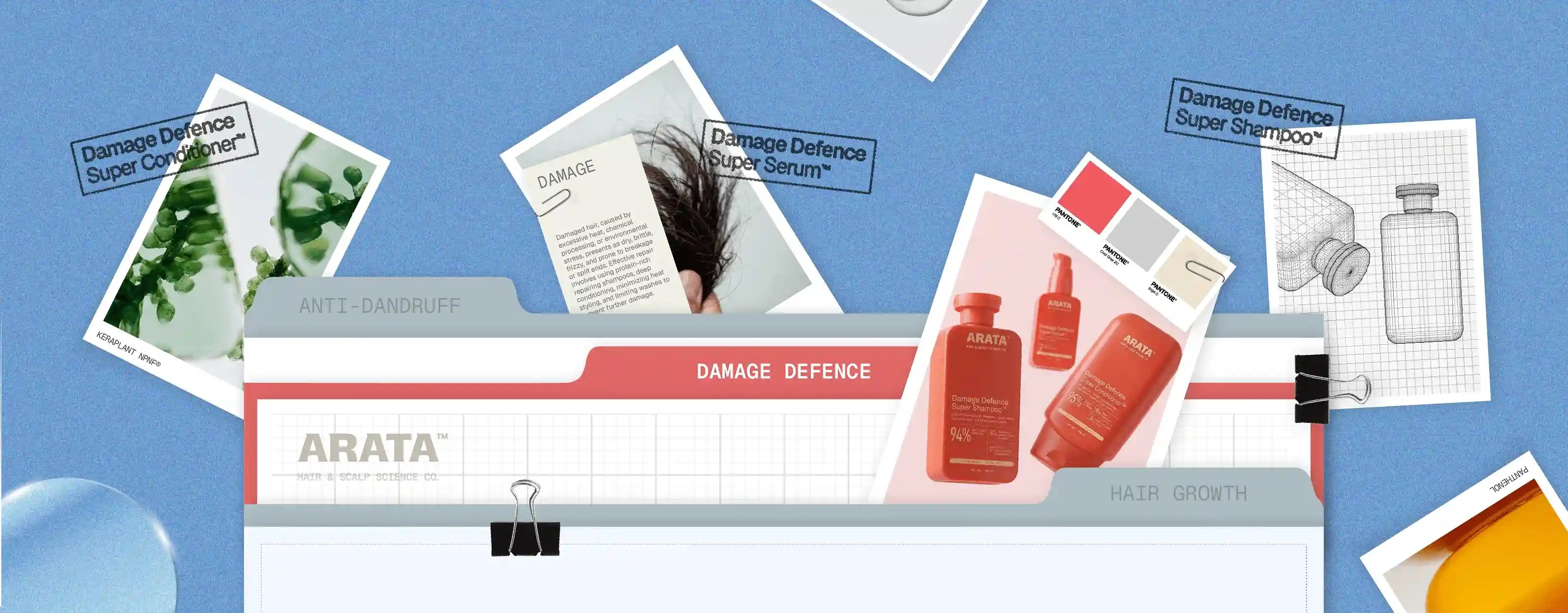 Understanding damage from the scalp up