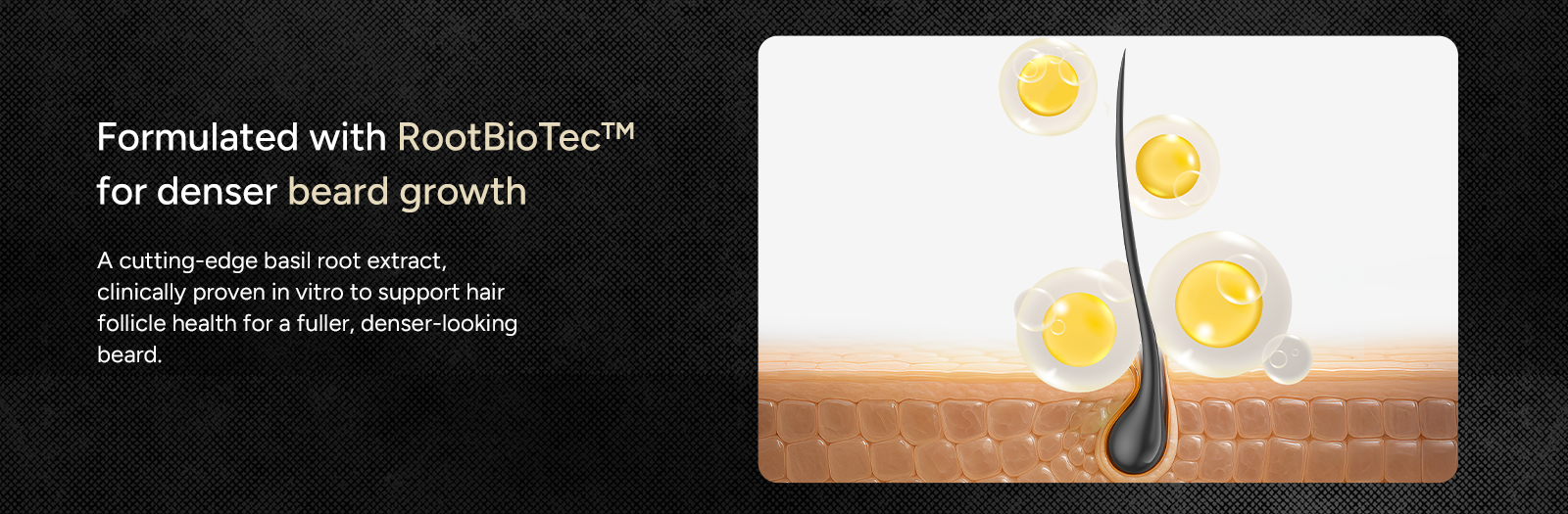 Beard Oil Secondaries