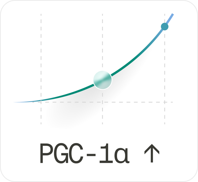 PGC-1α