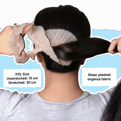 Sheer Organza Pleated Scrunchie