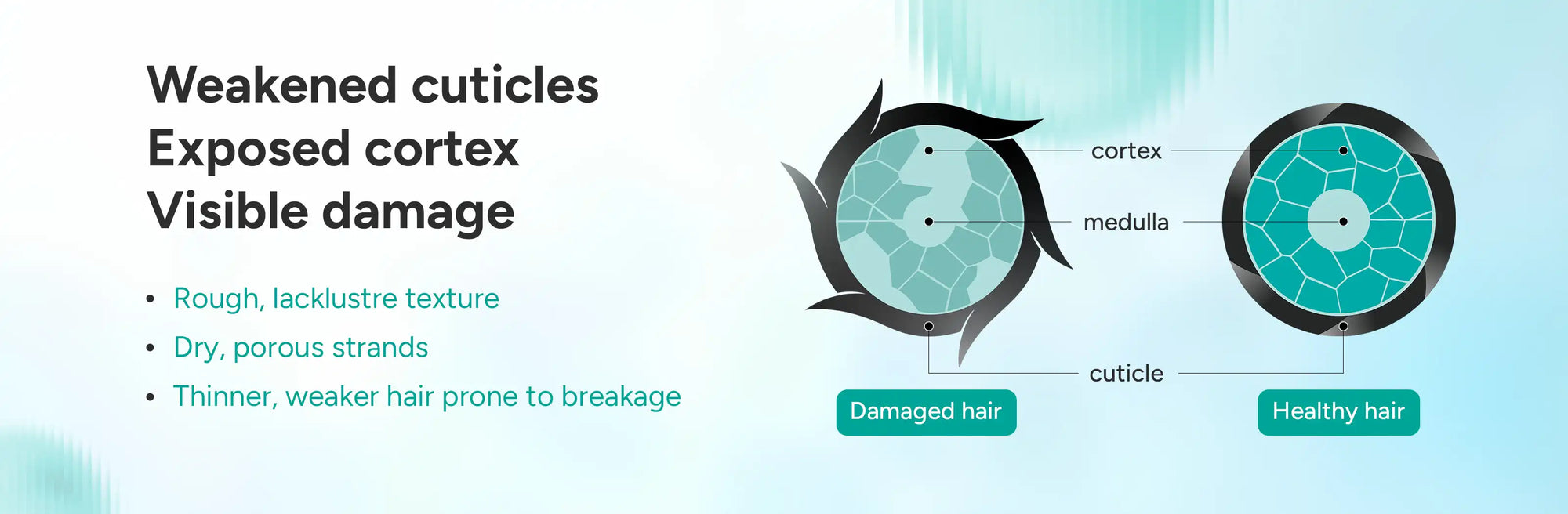 Hair fall Condtioner A+