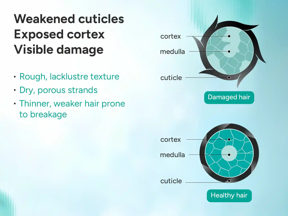Hair fall Condtioner A+