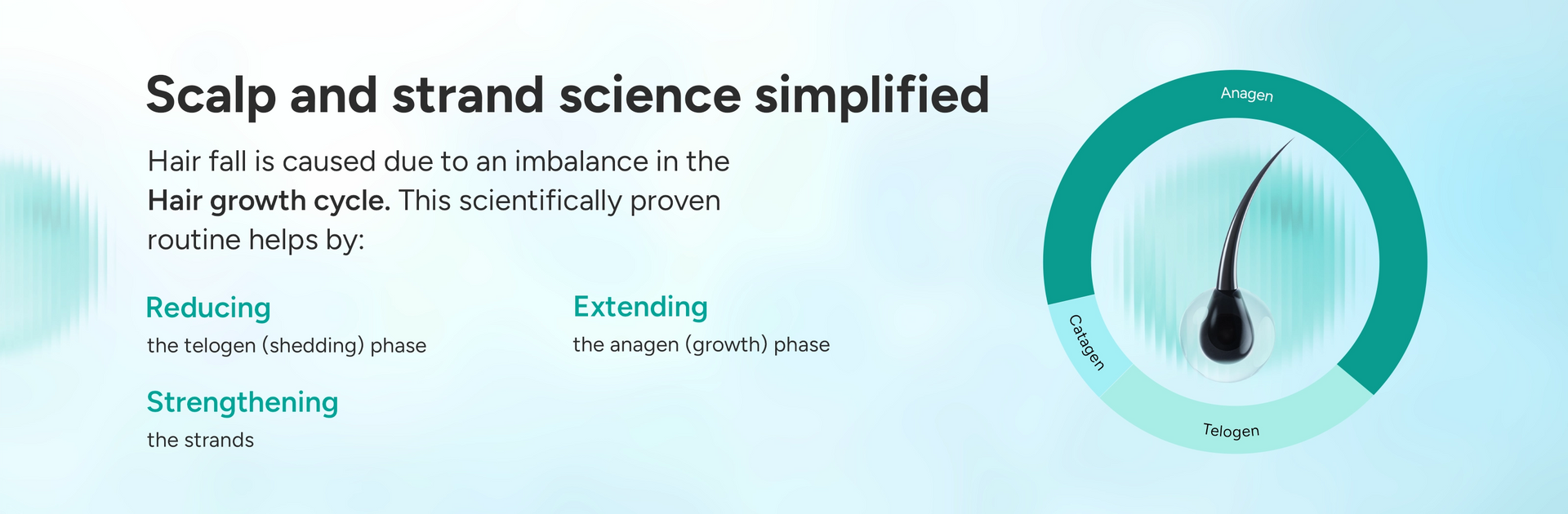 Diagram of hair growth cycle with text on scalp and strand science on a blue background